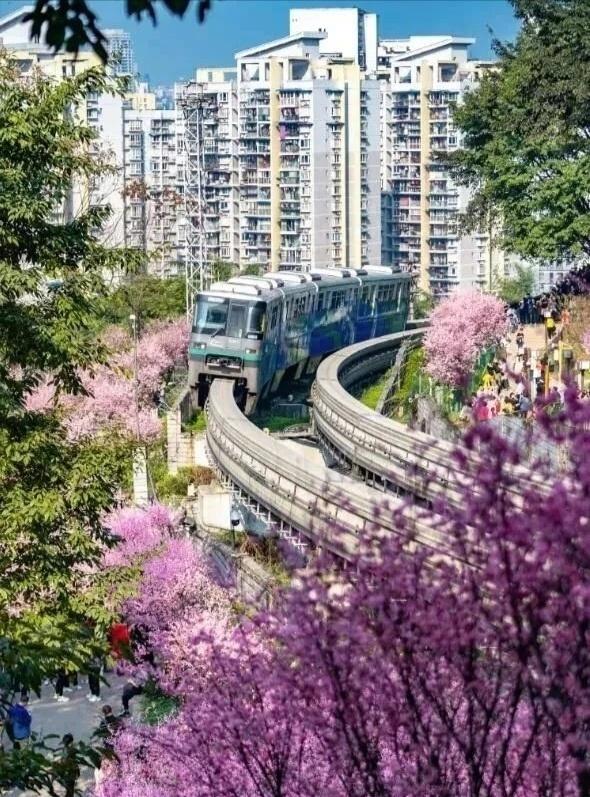 游客身着汉服在桃树下拍照。（新华社）