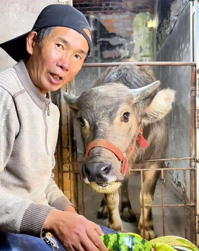 罗男和大水牛「妞妞」人牛情深。(视截截屏)