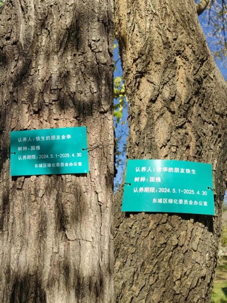 余华被网友喊话为地坛公园的树续费。(取材自济南时报)