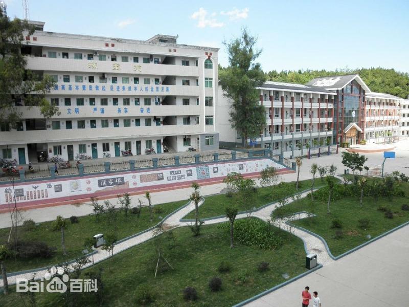 学生餐品质不佳，让许多学生自备辣酱下饭。（视频截屏）