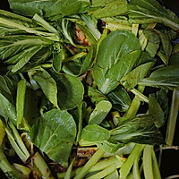 清炒青菜的做法图解3