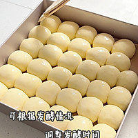 复刻山姆黄油餐包(低糖版)的做法图解5