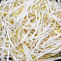 #春日露营#豆芽肉丝- 经典永流传!的做法图解1