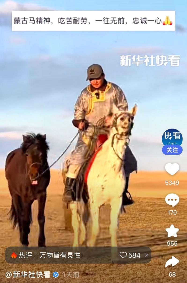 蒙古马和牠的主人。(视频截屏)