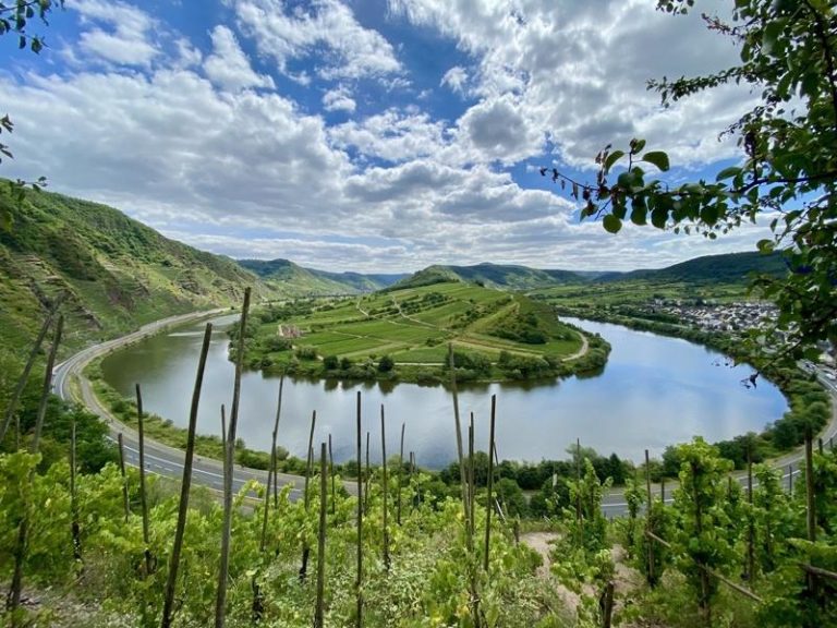 德国莫瑟尔河（Mosel）蜿蜒穿过山谷，沿岸陡坡种满葡萄藤，是德国最具代表性的雷司令白葡萄酒产区之一。面对气候变迁与消费萎缩等挑战，当地许多家族酒庄正努力维持酿酒传统。中央社