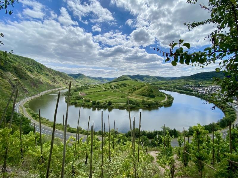 德国莫瑟尔河(Mosel)蜿蜒穿过山谷,沿岸陡坡种满葡萄藤,是德国最具代表性的雷司令白葡萄酒产区之一。面对气候变迁与消费萎缩等挑战,当地许多家族酒庄正努力维持酿酒传统。中央社