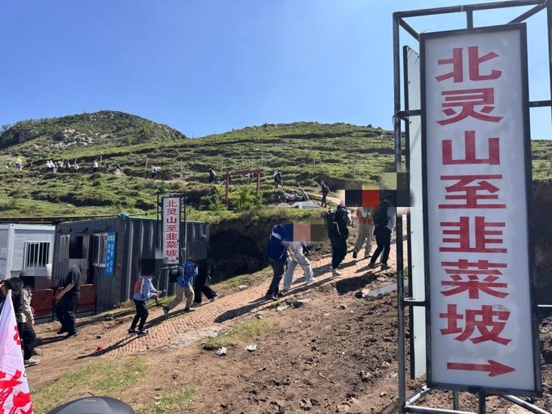 随意采摘野韭菜将破坏高山草地。(取材自北京日报)