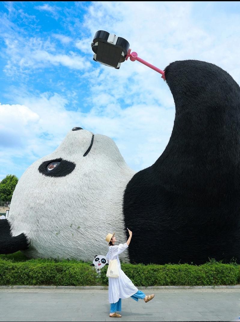 成都绕城绿道锦城湖段被两旁金黄的树木掩映，勾勒出了一道靓丽风景。（中新社）