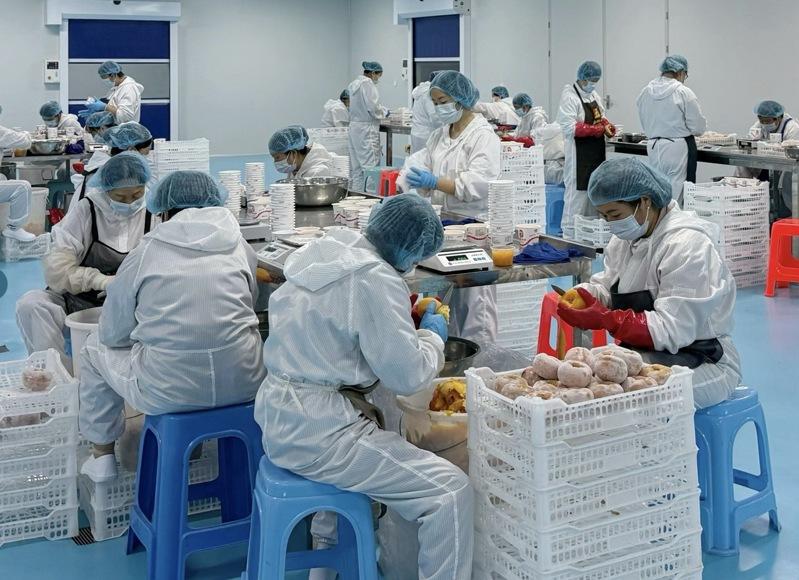 河北当地农户与企业发展柿饼加工造等传统工艺,充分发挥传统农产品的价值。图为当地企业「保定冰柿」工作车间。(记者樊嘉琳/摄影)