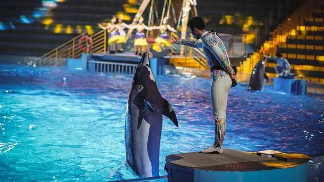 郑州海昌海洋公园月薪3万招募「首席摸鱼官」。（取材自大象新闻）