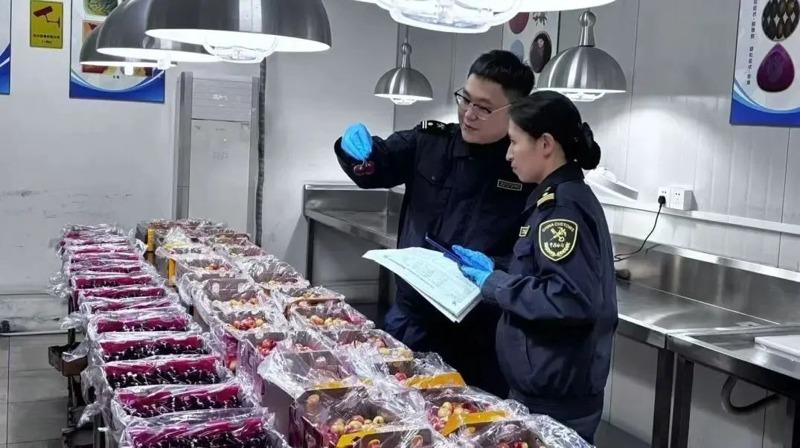 上海机场打造「极速信道」。(取材自上观新闻)