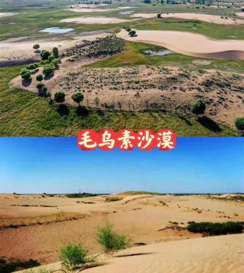 截至2025年，毛乌素林地面积已达3.3万平方公里，相当于两个北京市的面积。(取材自微博)
