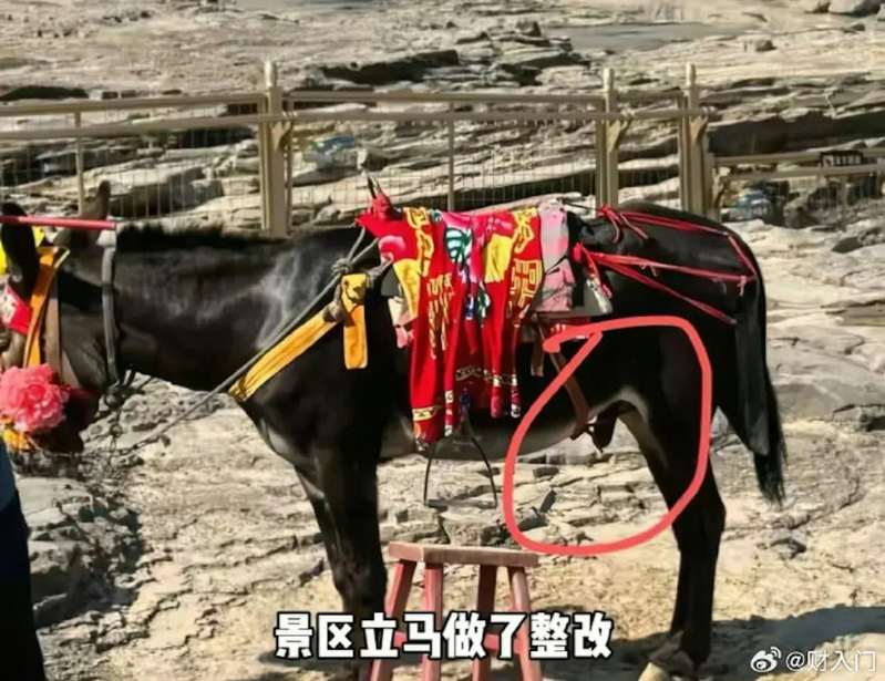 陕西知名景区黄河壶口瀑布的驴子近日被发现下体套着一个「遮羞套」，原因是一位女游客检举称「露出生殖器有伤风化」。(视频截屏)