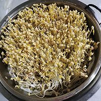 发绿豆芽的做法图解11