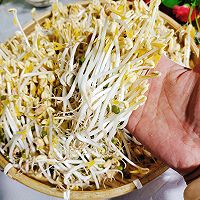 发绿豆芽的做法图解20