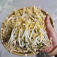 发绿豆芽的做法图解13