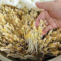 发绿豆芽的做法图解10