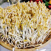 发绿豆芽的做法图解18