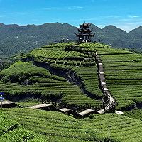 成都品茶上课鲜花配送安排感受夏季时光的做法图解1