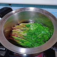 #夏日鲜味轻享健康#肉末炒萝卜缨子的做法图解2