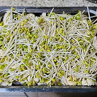 家庭版烤鱼的做法图解5