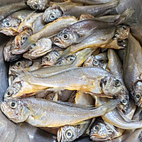 香煎小黄花的做法图解5