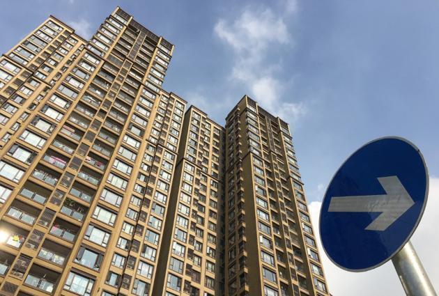 示意图，非新闻当事者饲养乌龟。(取材自小红书)