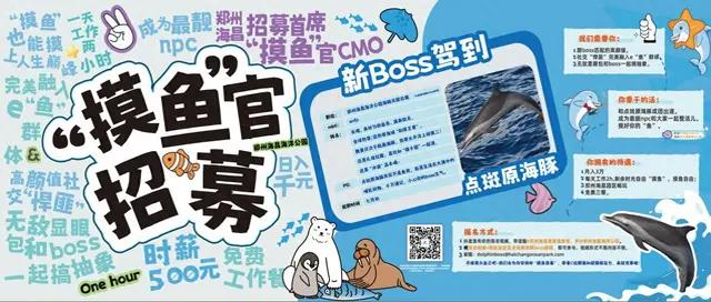 郑州海昌海洋公园月薪3万招募「首席摸鱼官」。（取材自大象新闻）