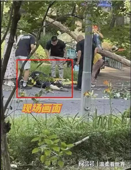 事发现场。(视频截屏)