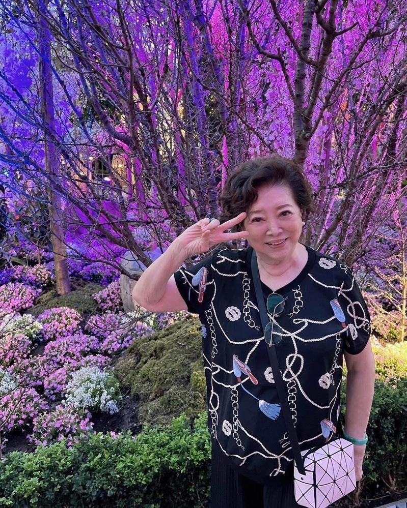 陈淑芳行动俐落。图／摘自脸书