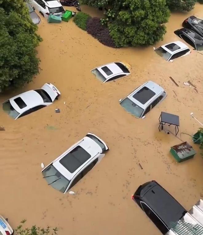 榕江大量汽车被泡在水中。(视频截屏)