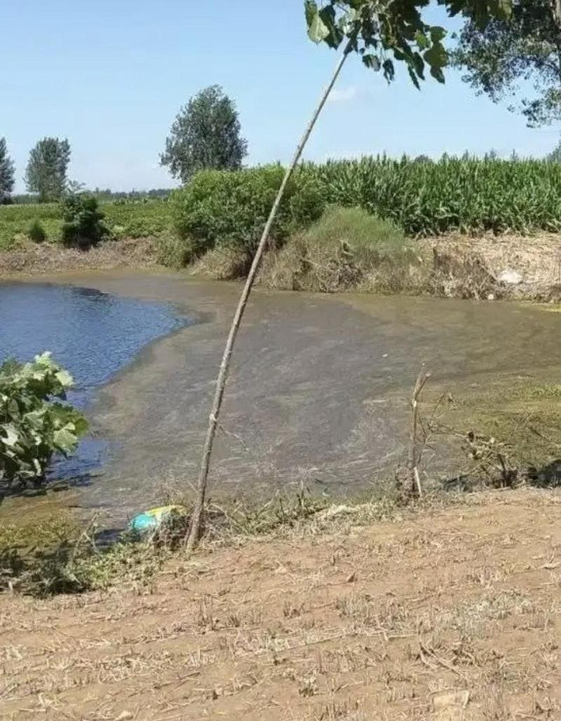 少女为躲强奸掉入水塘,因嫌犯阻止她上岸溺毙,图为事发现场。(取材自红星新闻)
