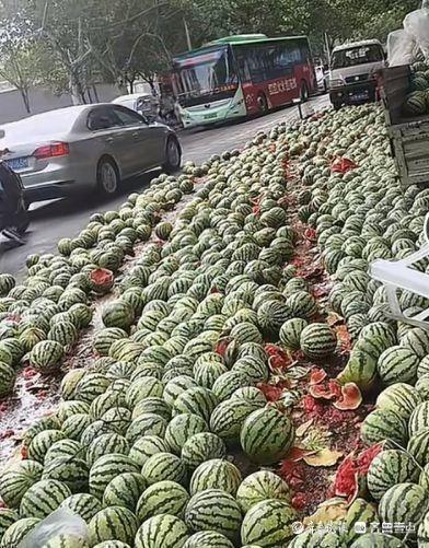摊贩自己开车辗压西瓜。（取材自齐鲁晚报）