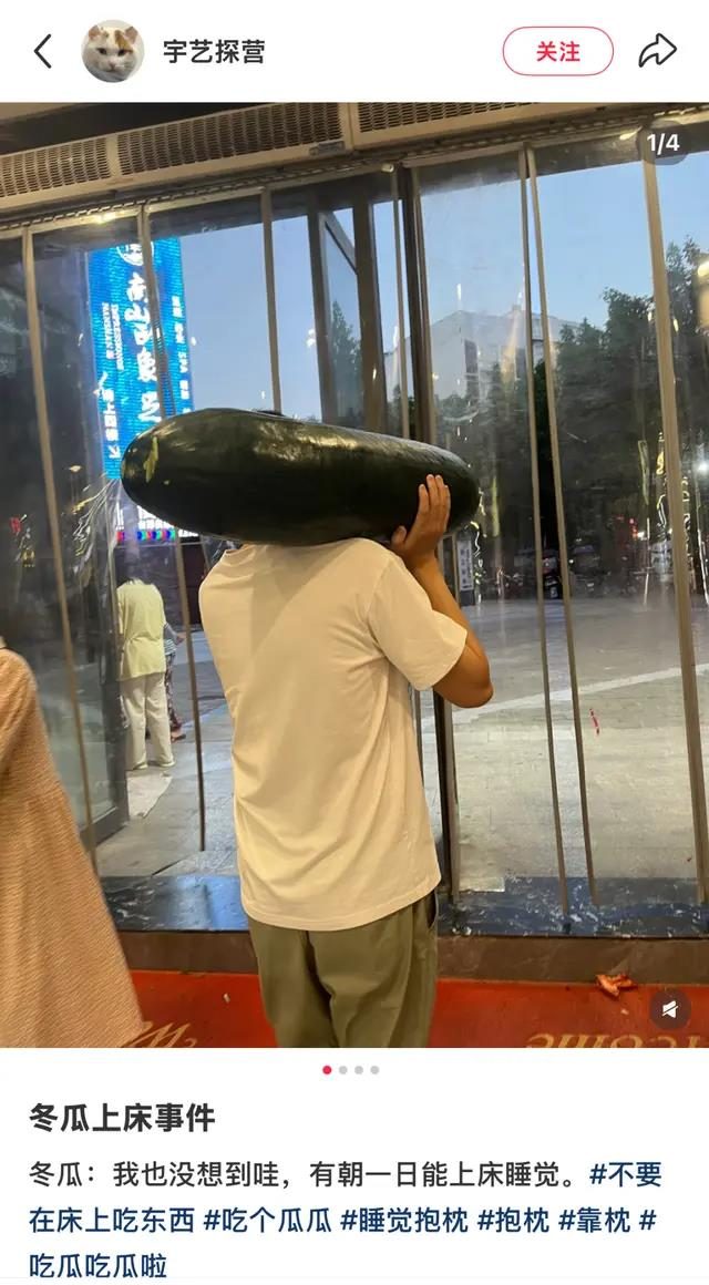 网民晒出小朋友抱冬瓜睡觉照片。(取材自小红书)