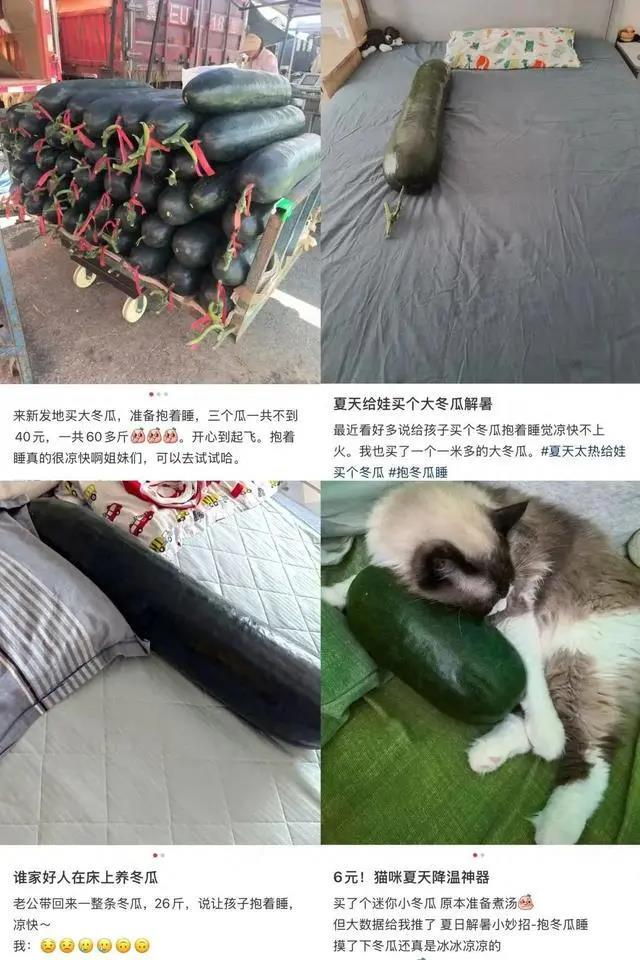 网民晒出小朋友抱冬瓜睡觉照片。(取材自小红书)