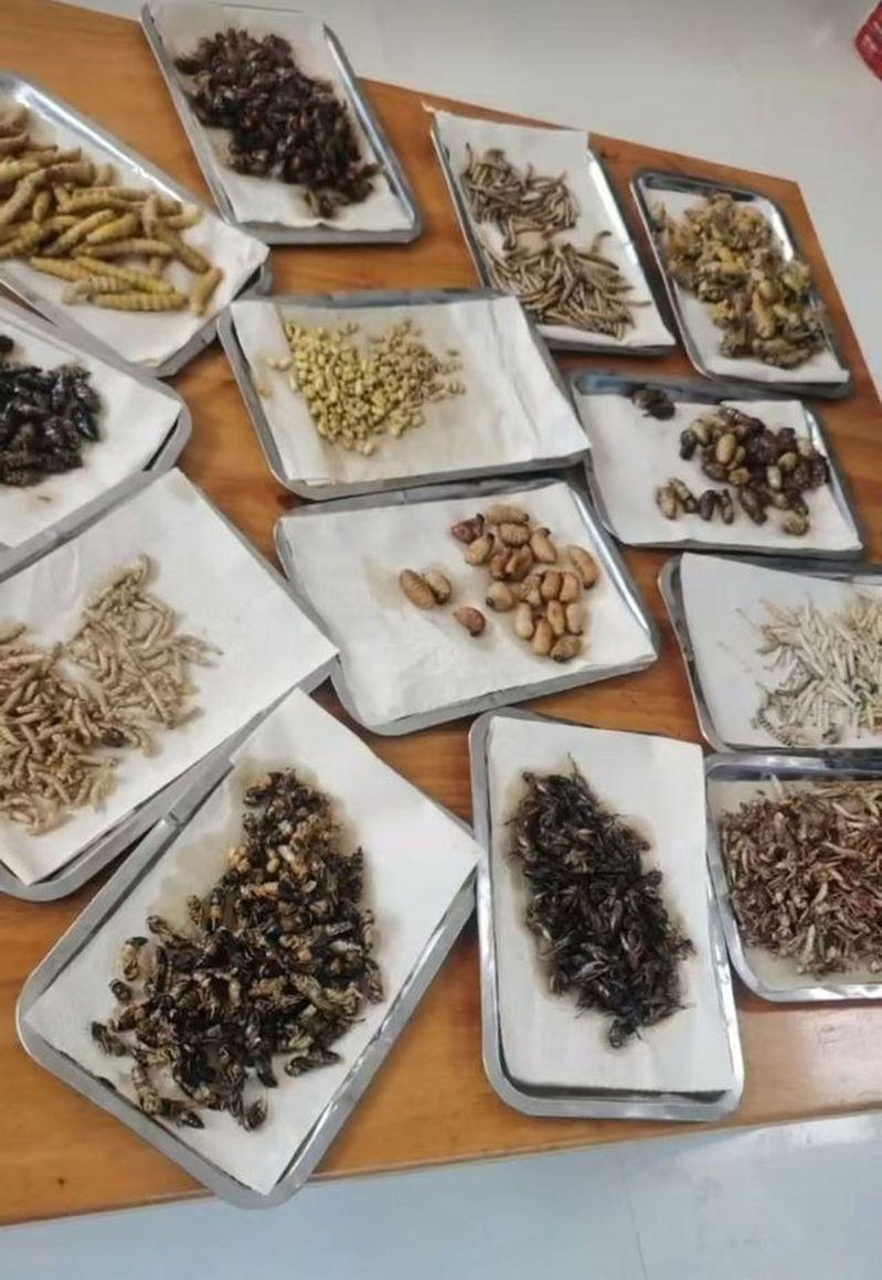 视频中出现的菜色和食材图片。(取材自指尖新闻／当事人供图)