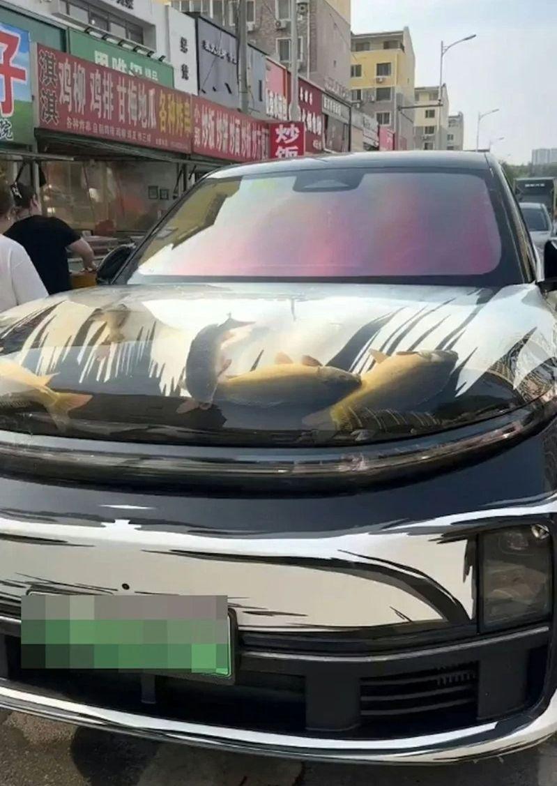 引擎盖车衣中的鱼。(取材自极目新闻)