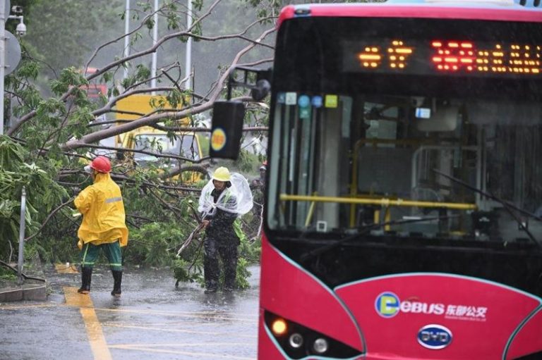 受台风「韦帕」影响，深圳局地遇险，图为位于深南大道西南侧辅道一棵大树被吹倒，一度影响交通，深圳园林绿化抢险队员正在排险处置。（中通社）