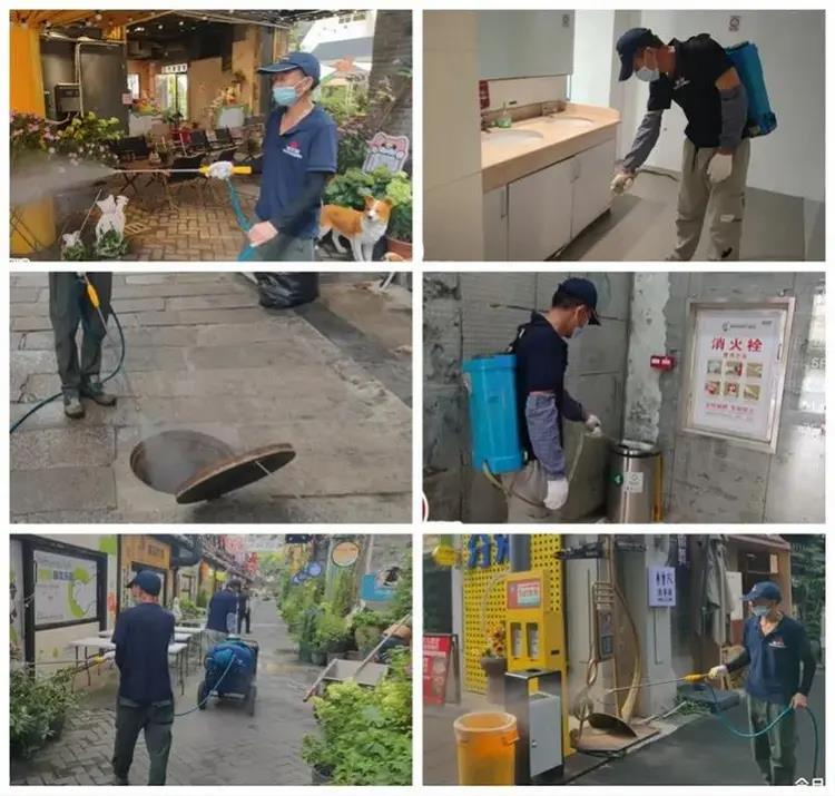 佛山禅城为防控屈公病疫情，投放5000多条「灭蚊鱼」，要以生物防治方式消灭病媒蚊。（取材自南方都市报）
