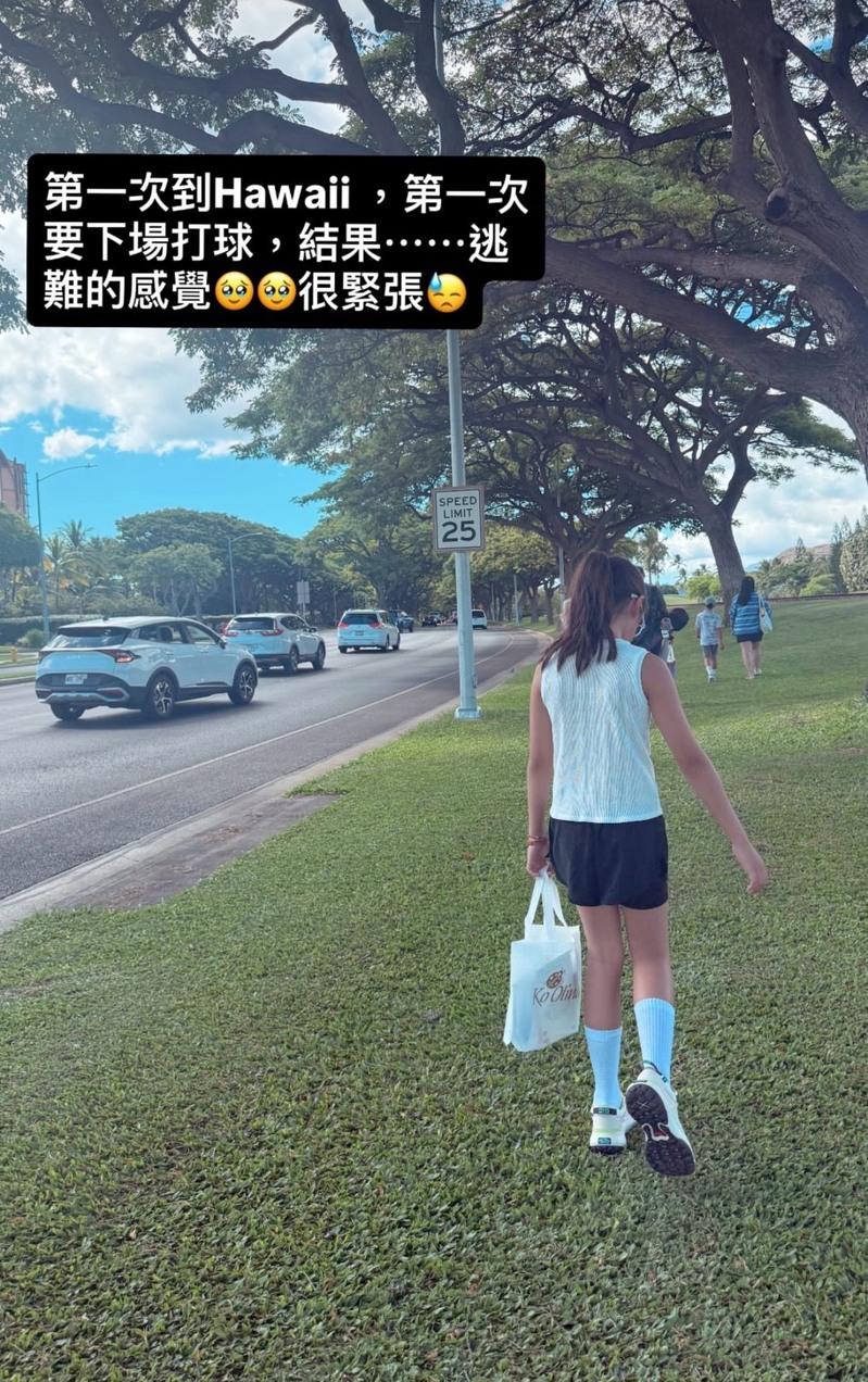 贾静雯到夏威夷度假。（取材自Instagram）