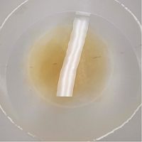 芒果香草慕斯的做法图解7
