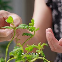 中药消暑养生面包 开心果绿豆薄荷冰面包的做法图解19