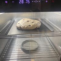 蔓越莓青稞软欧面包—蓬松暄软，低脂健康！的做法图解9