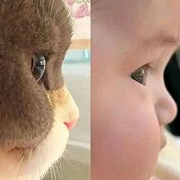 电饭锅意面的做法图解2