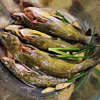 黄骨鱼炖豆腐的做法图解4