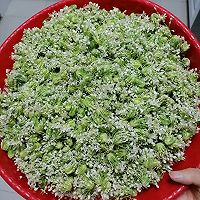 韭菜花酱的做法图解3