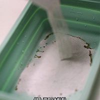 青稞爆爆珠撞奶茶的做法图解1