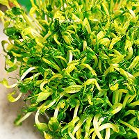 芝麻豌豆苗，香味足且超简单的夏日小凉菜的做法图解7