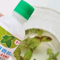 薄荷西米绿豆汤的做法图解3