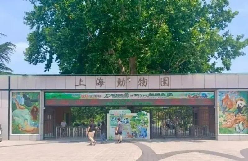 茅先生夫妇在展馆内喂婴儿喝奶被驱赶。(取材自申度新闻公众号)